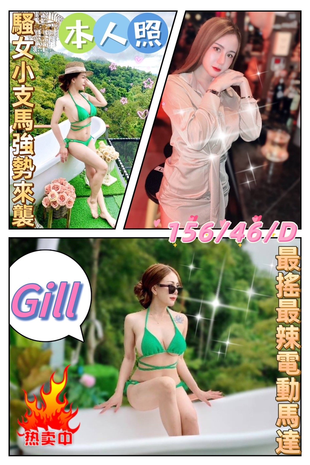 嘉義定點茶:Gill 156/46/D