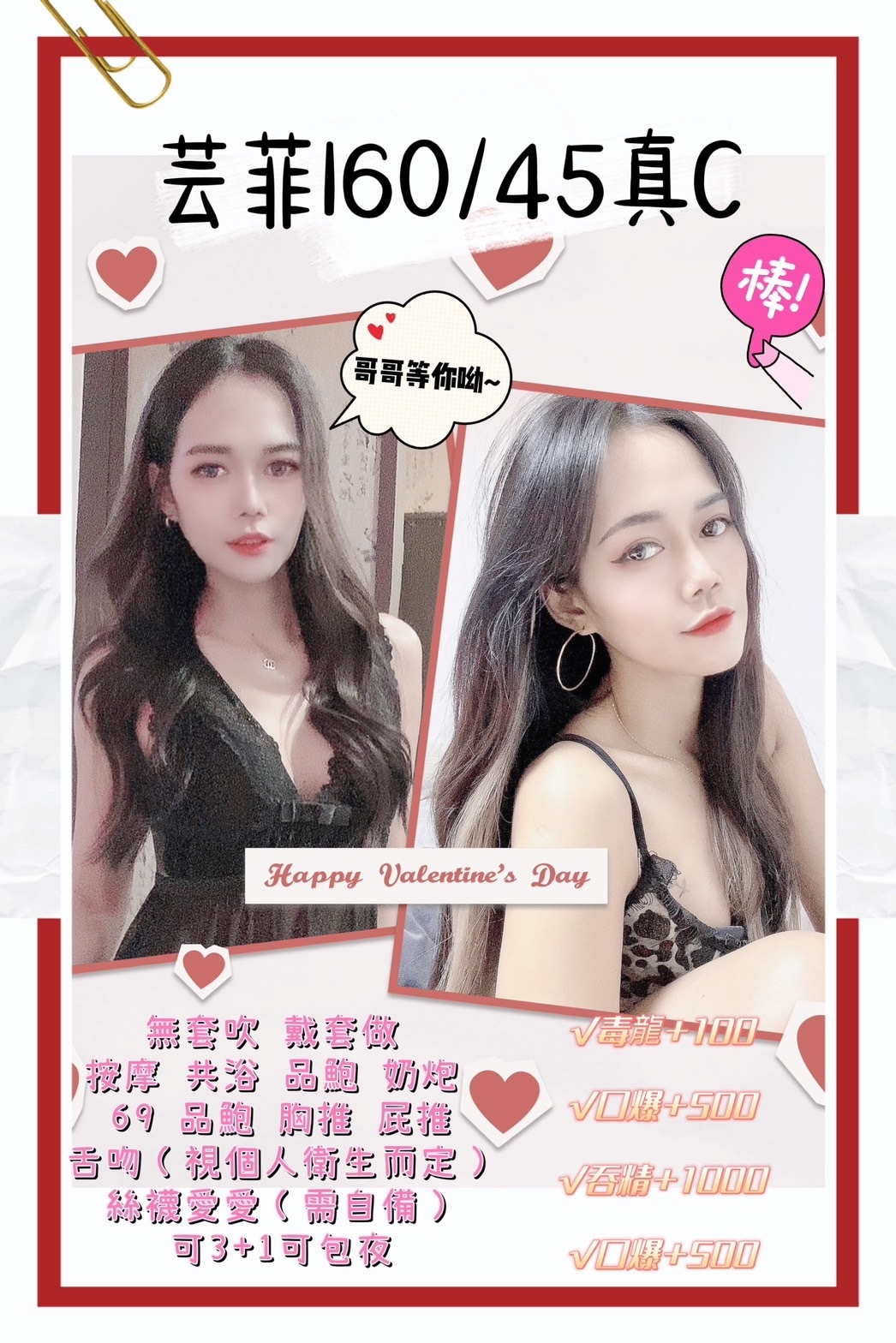 雲林定點茶:芸菲160/45/C