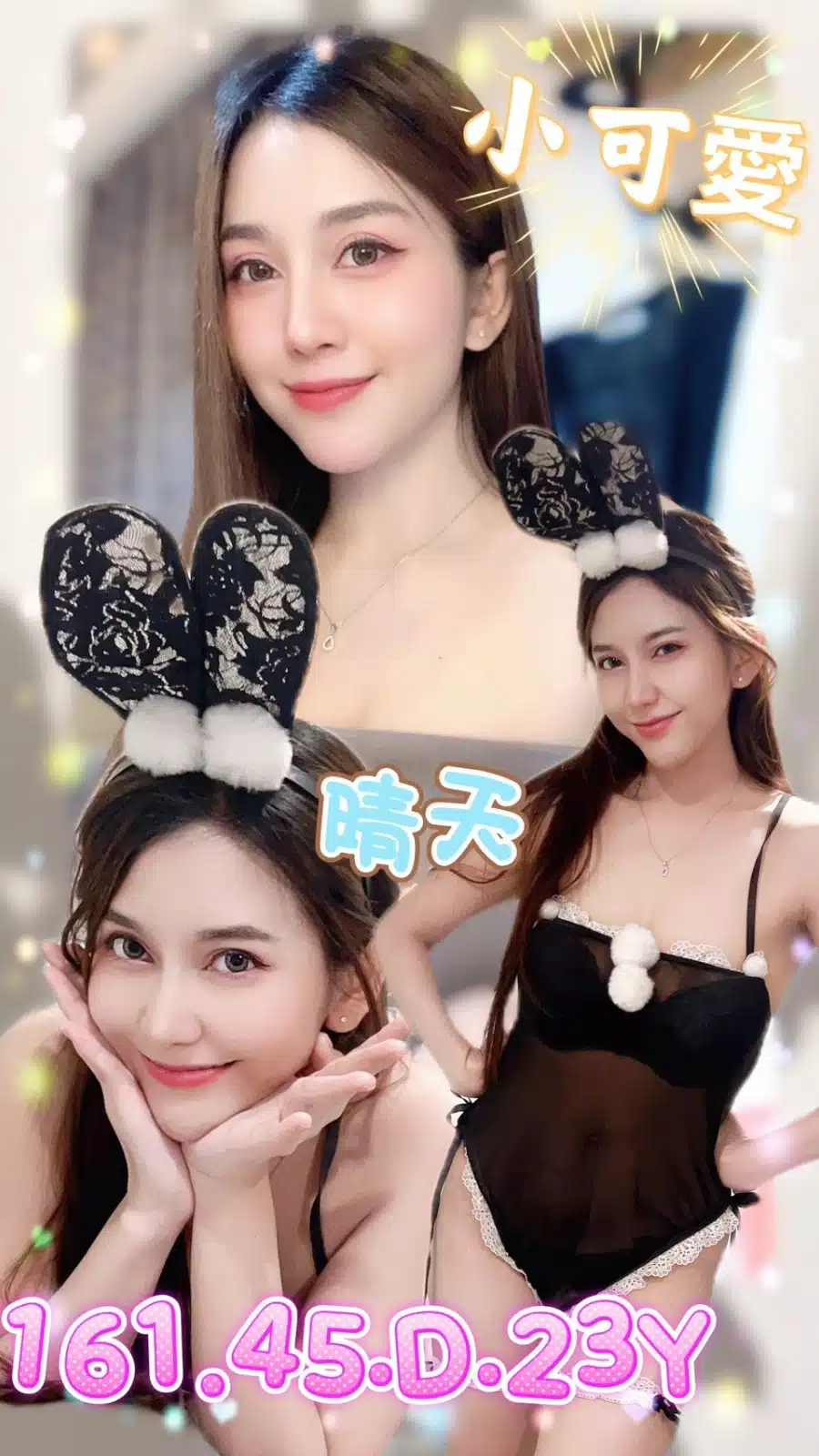 台北定點茶-晴天/161/45/21/D