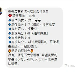 新竹定點茶-芽芽/156/45/21/D