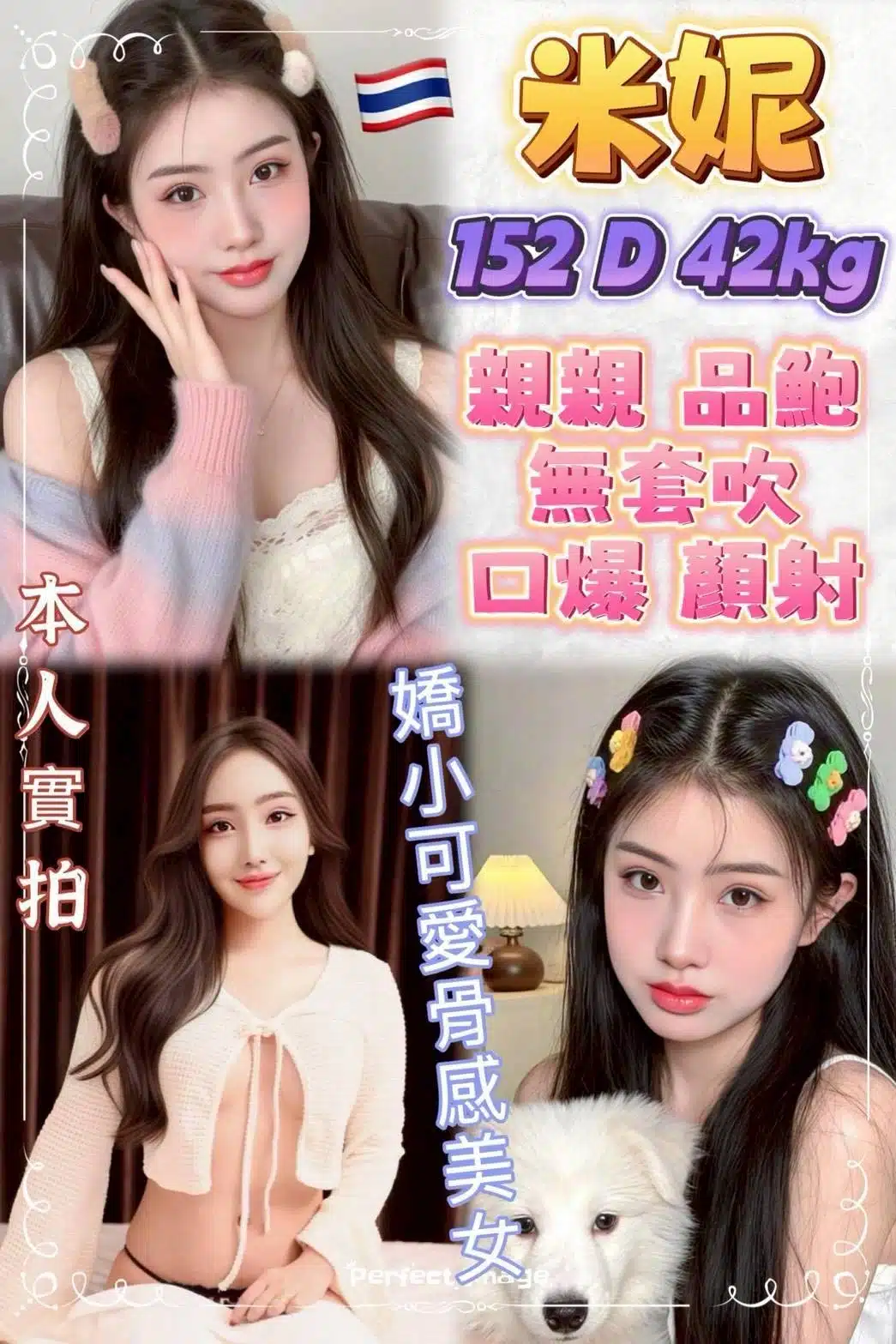 新北定點茶-米妮/152/42/20/D