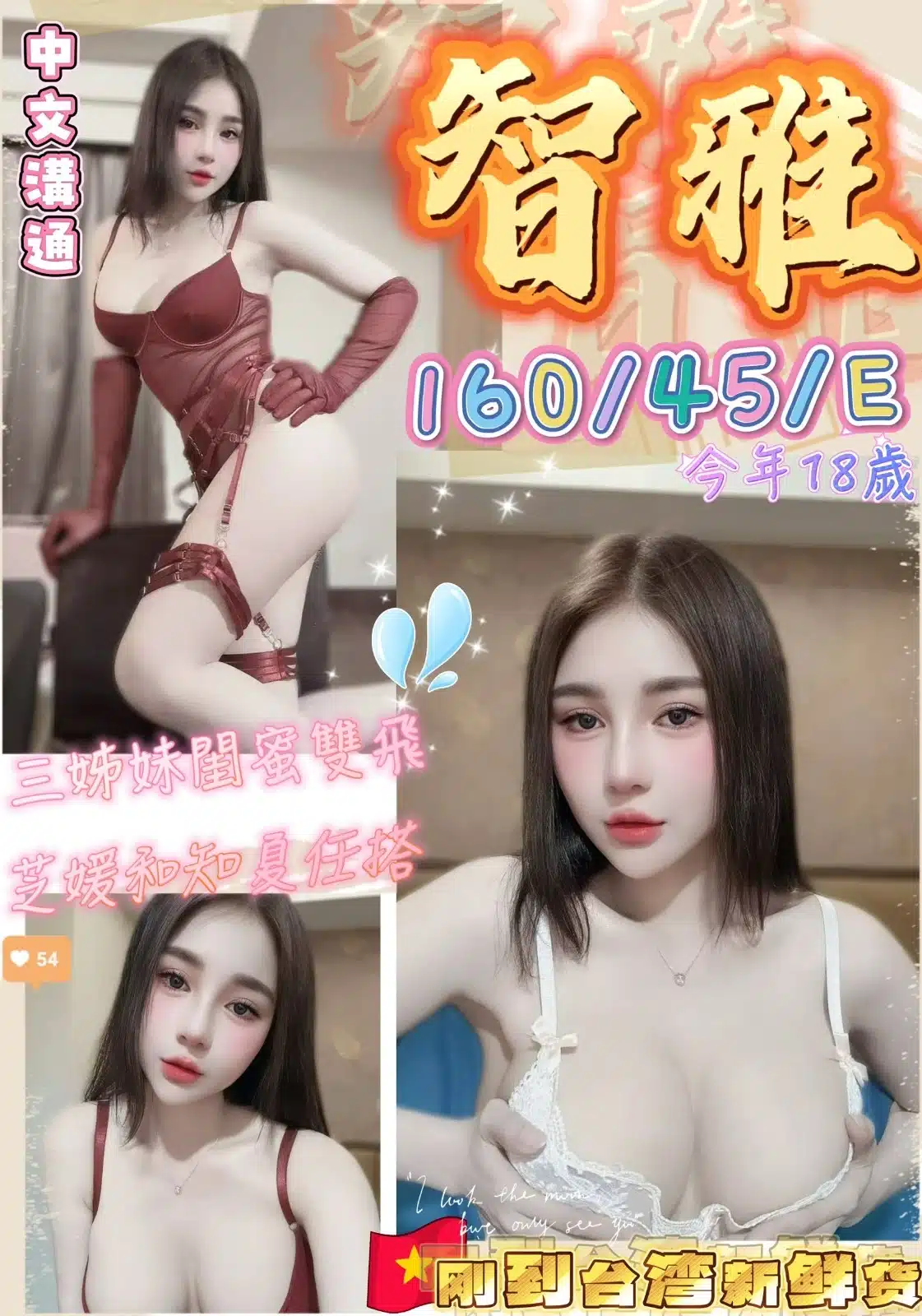 台中定點茶-智雅/160/45/18/E