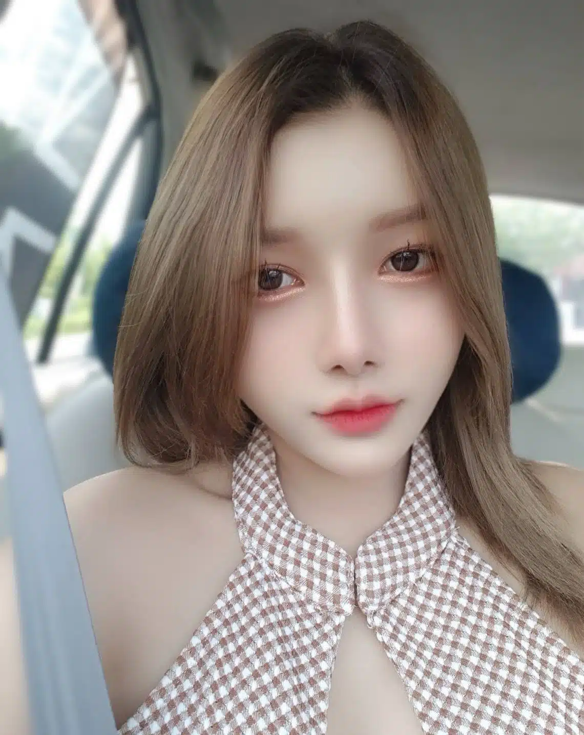 台北定點茶-軟糖/155/44/22/E