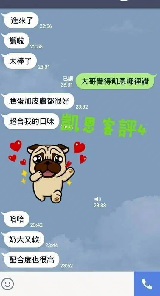 屏東定點茶-凱恩/155/45/23/E