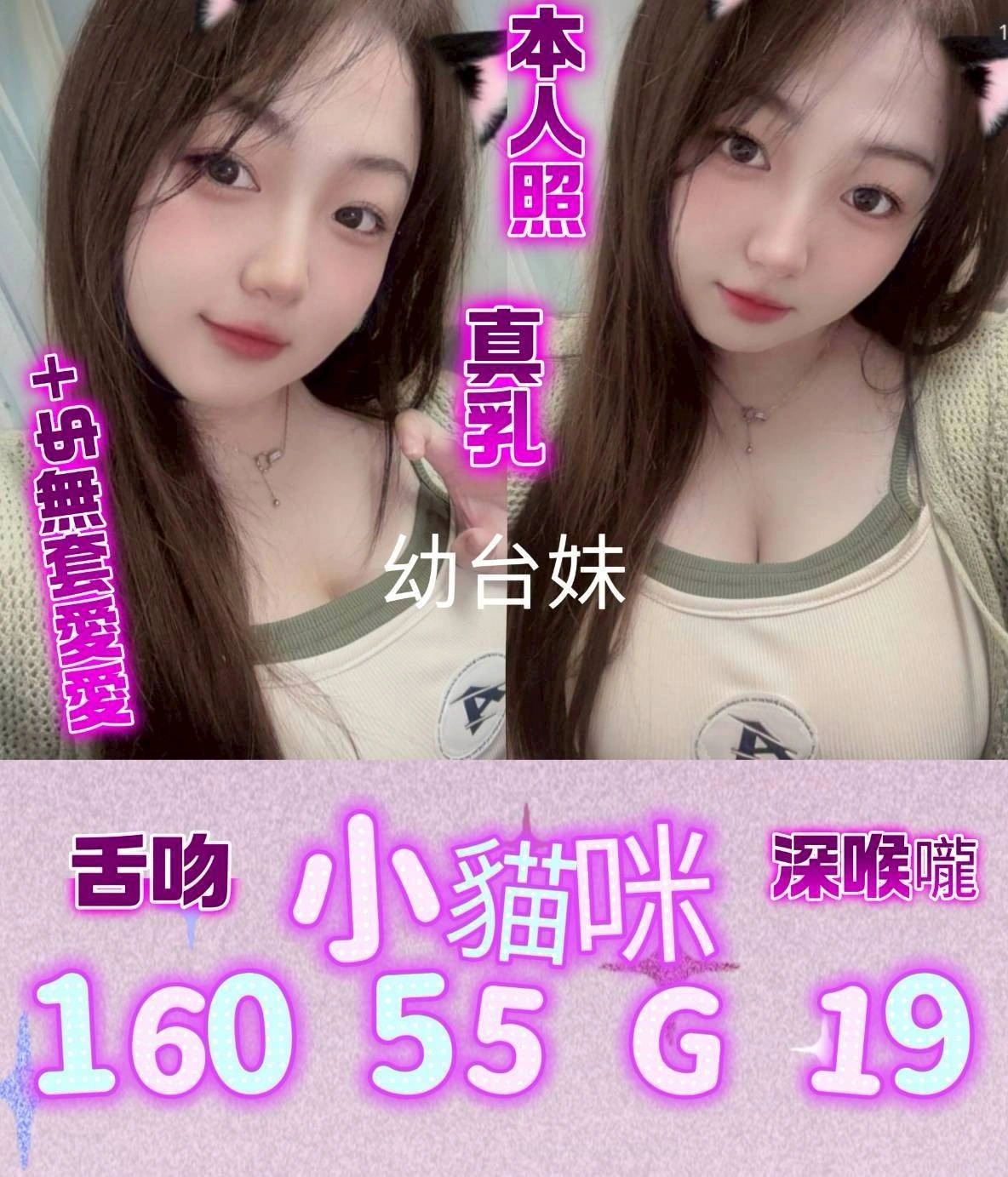嘉義外送茶-小貓咪/160/55/19/G