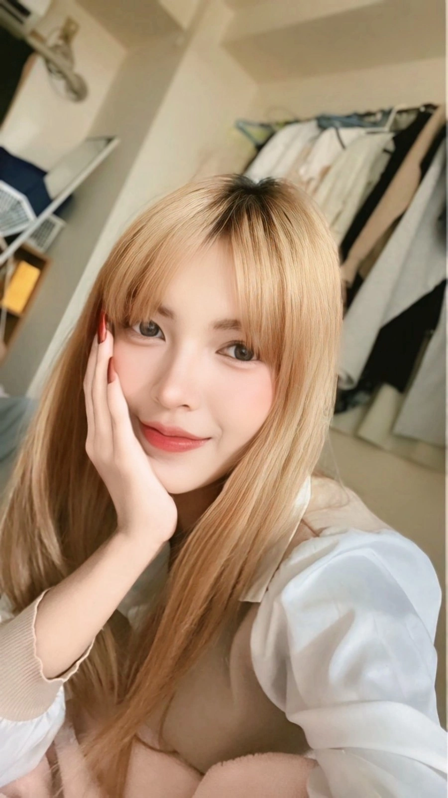 嘉義定點茶-安琪拉/160/45/22/D