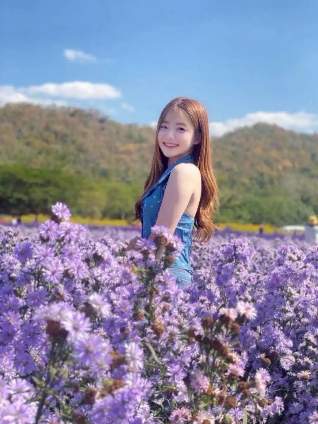 台北定點茶-楚楚/150/39/22/D