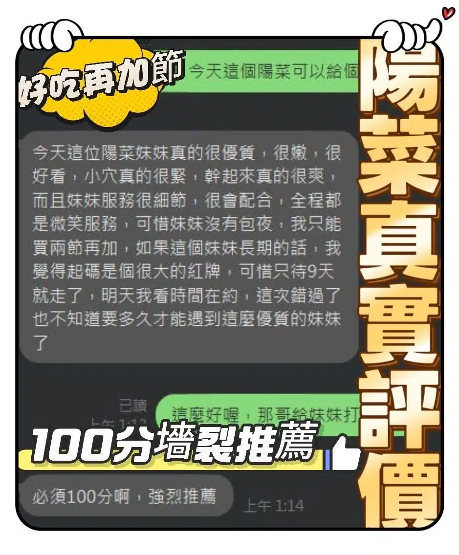 南投定點茶-陽菜/155/47/20/E