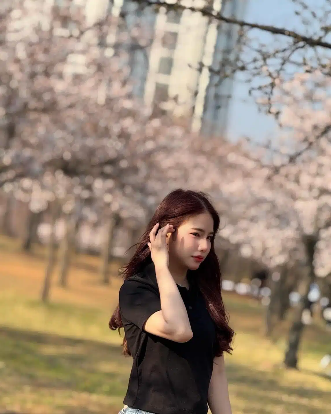 台北定點茶-凱蒂貓/157/43/23/D