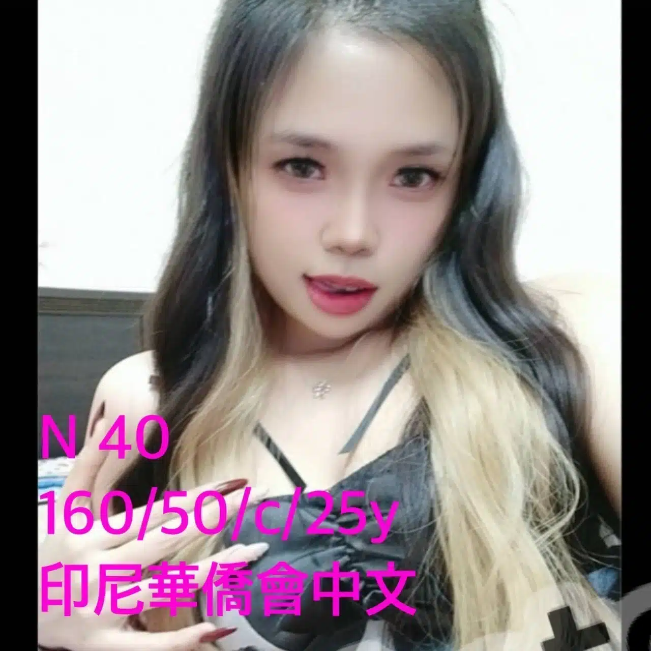 嘉義定點茶-N40/160/50/25/C