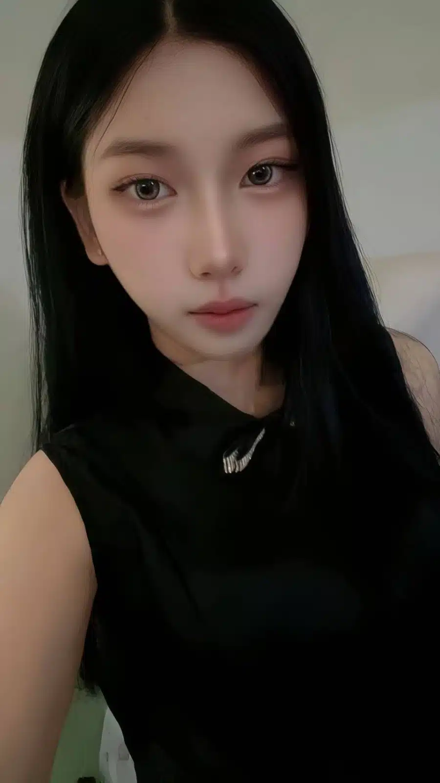 台北定點茶-幻藍小熊/156/44/18/C