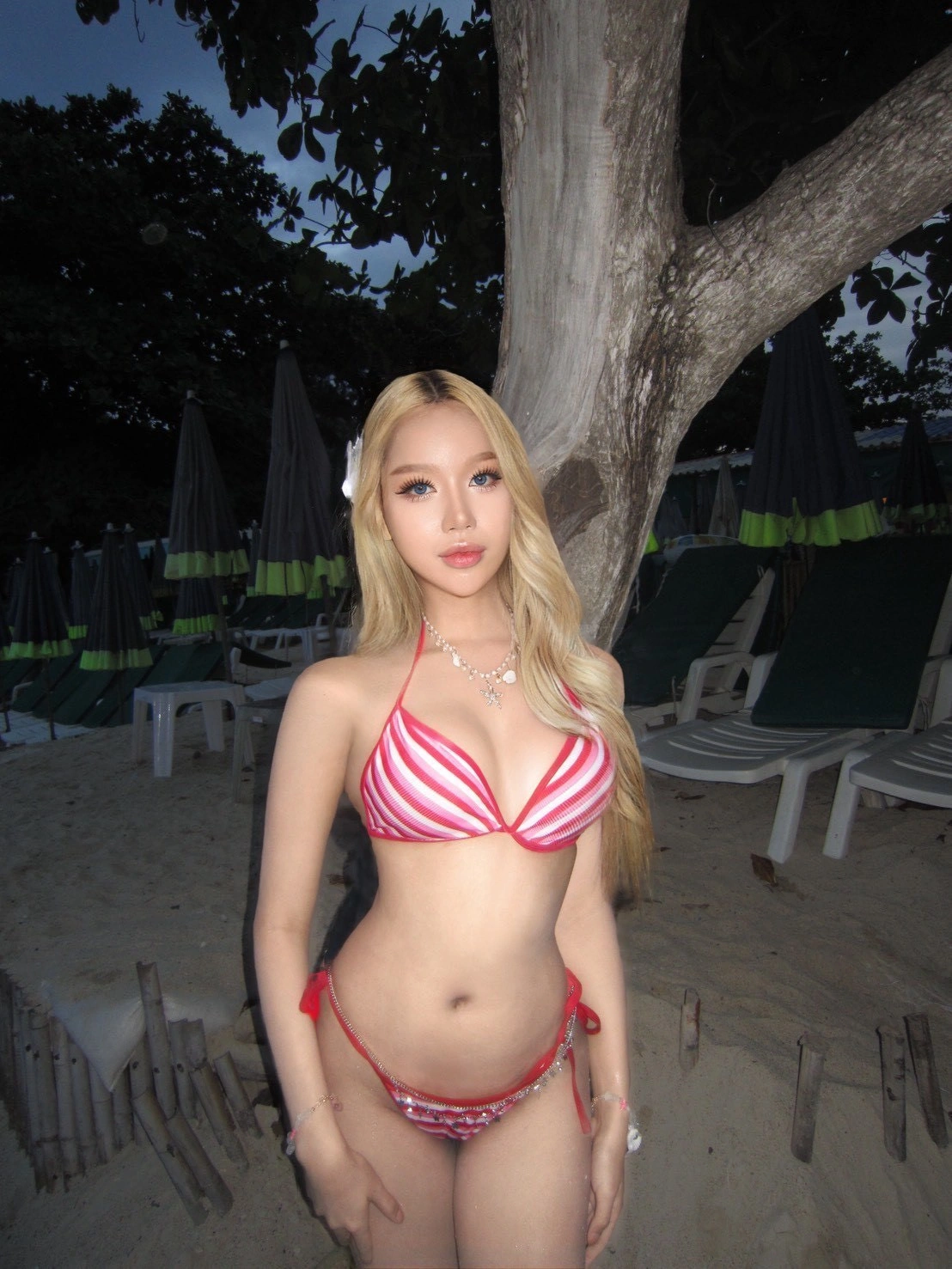 高雄定點茶-芭比/168/50/23/D