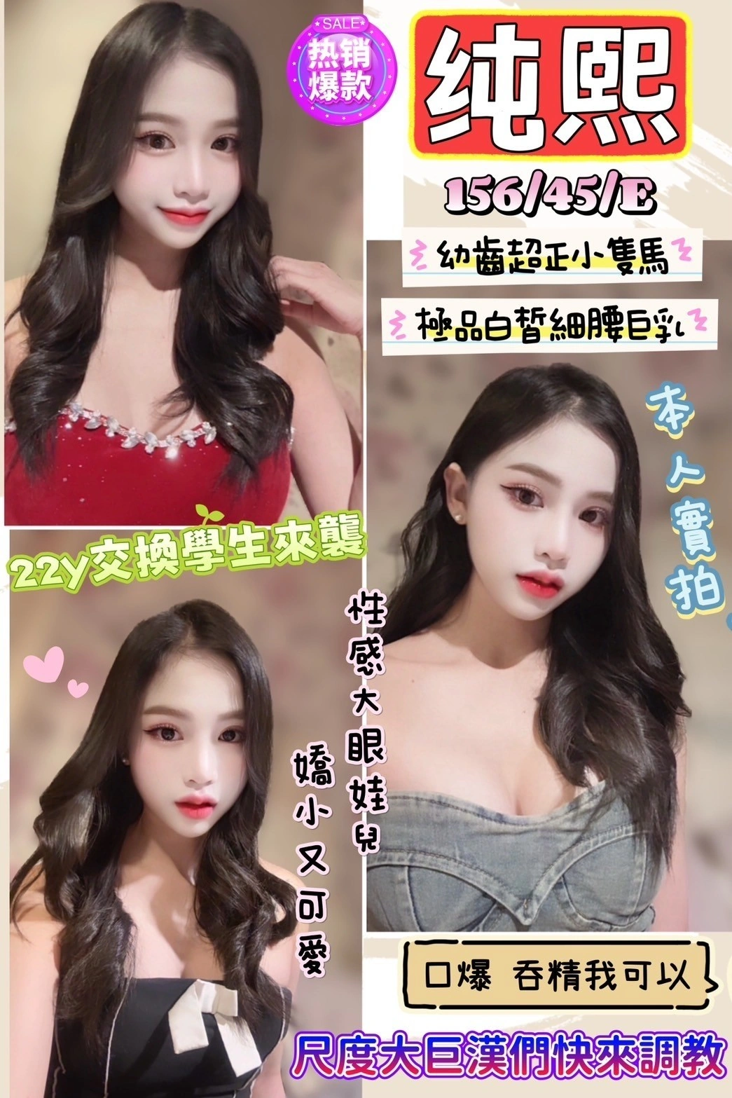 新竹定點茶-純熙/156/45/22/E