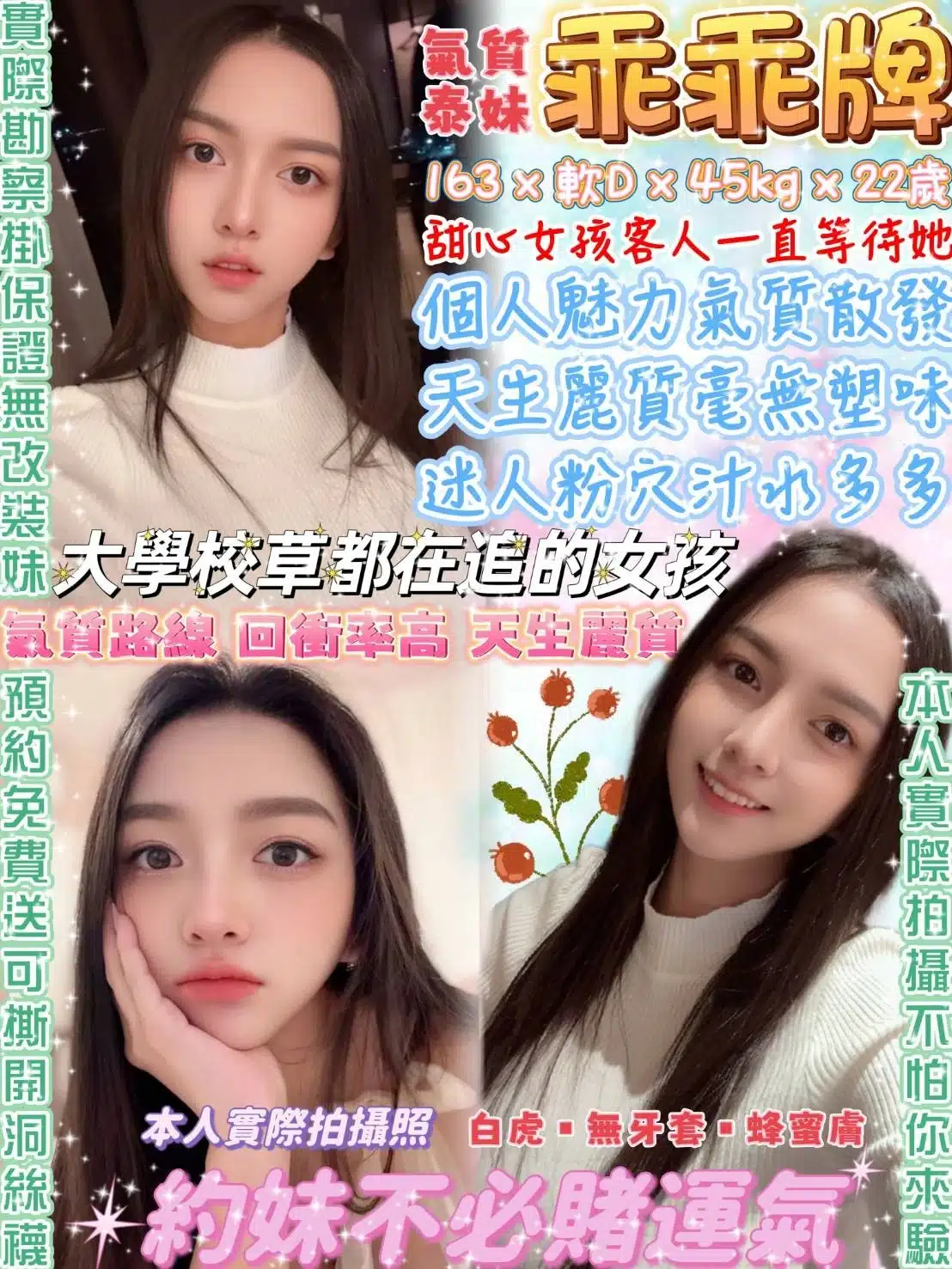 台北定點茶-乖乖牌/163/45/22/D